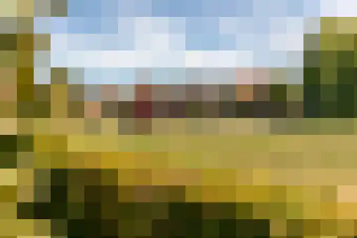 Baljuw 15 Brielle thumbnail 38