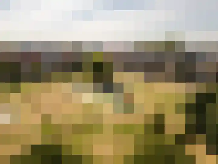 Baljuw 15 Brielle thumbnail 39