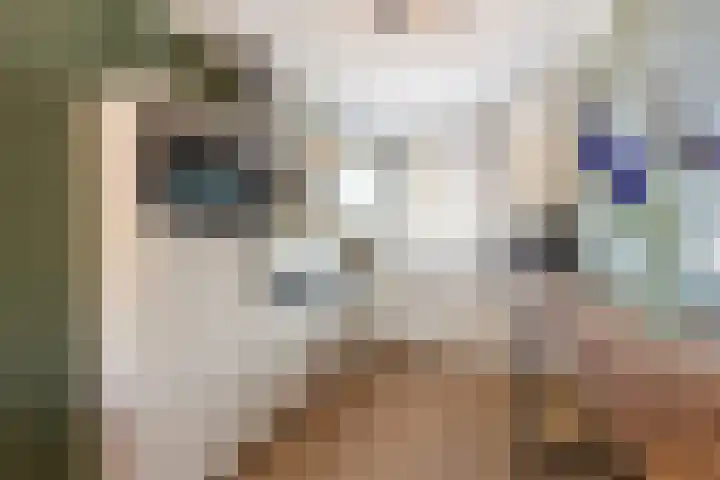 Baljuw 15 Brielle thumbnail 4