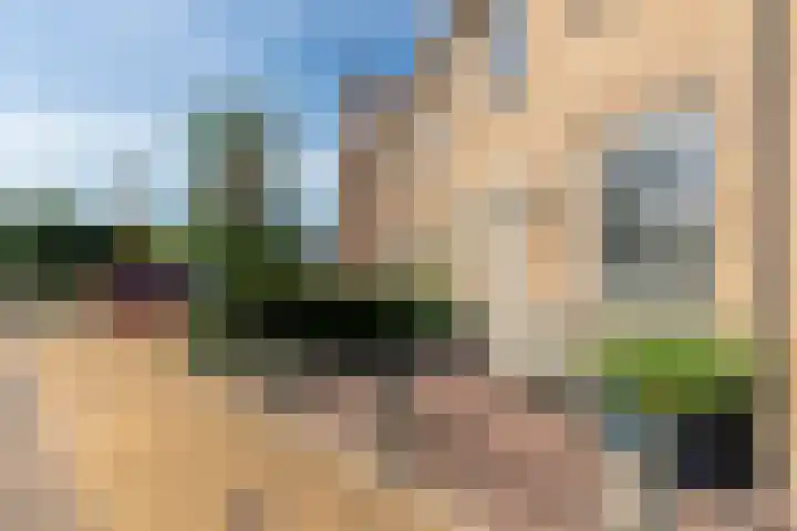 Baljuw 15 Brielle thumbnail 7