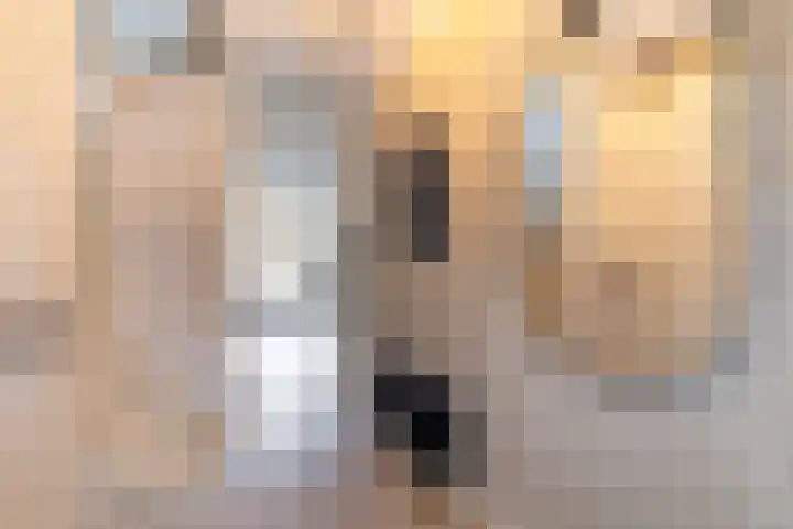 Baljuw 15 Brielle thumbnail 8