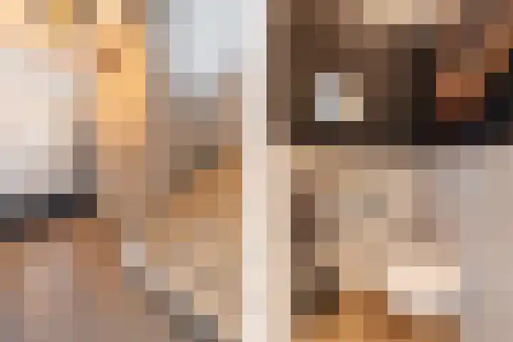 Baljuw 15 Brielle thumbnail 9