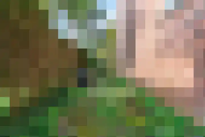 Baljuw 16 Hoorn thumbnail 28