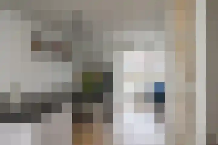Baljuw 21 Naarden thumbnail 10