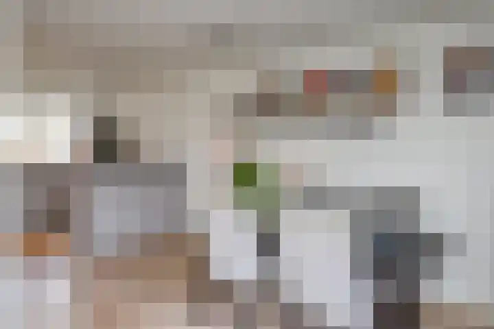 Baljuw 21 Naarden thumbnail 16