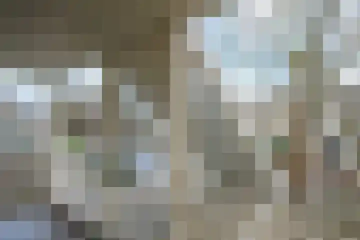 Baljuw 21 Naarden thumbnail 29