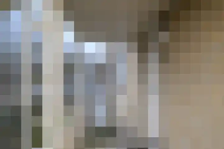 Baljuw 21 Naarden thumbnail 4