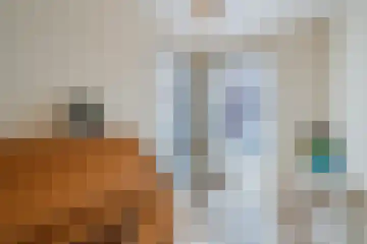 Baljuw 21 Warmenhuizen thumbnail 14