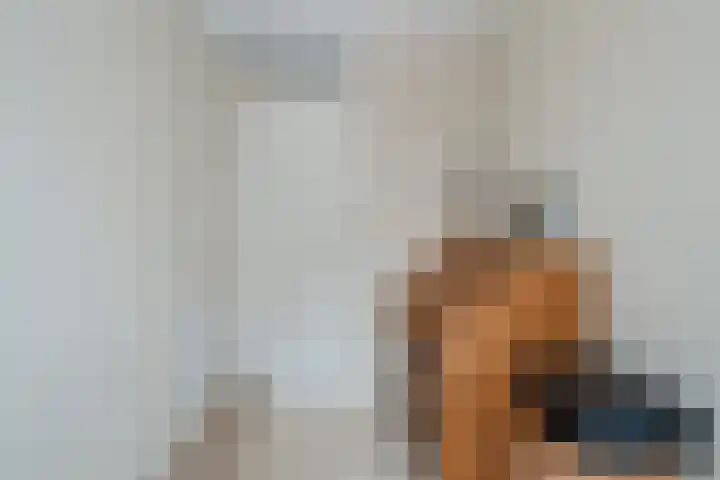 Baljuw 21 Warmenhuizen thumbnail 15