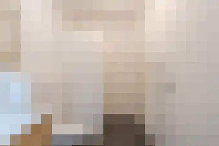 Baljuw 21 Warmenhuizen thumbnail 17