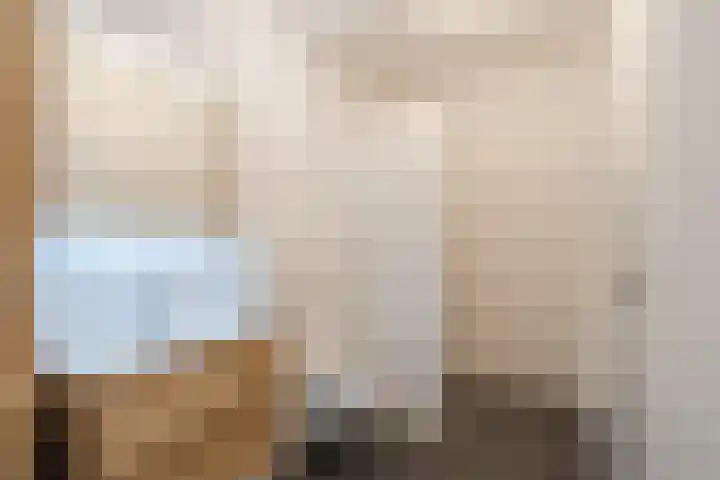 Baljuw 21 Warmenhuizen thumbnail 19