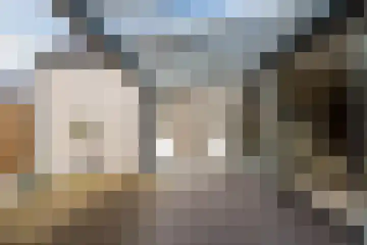 Baljuw 21 Warmenhuizen thumbnail 22