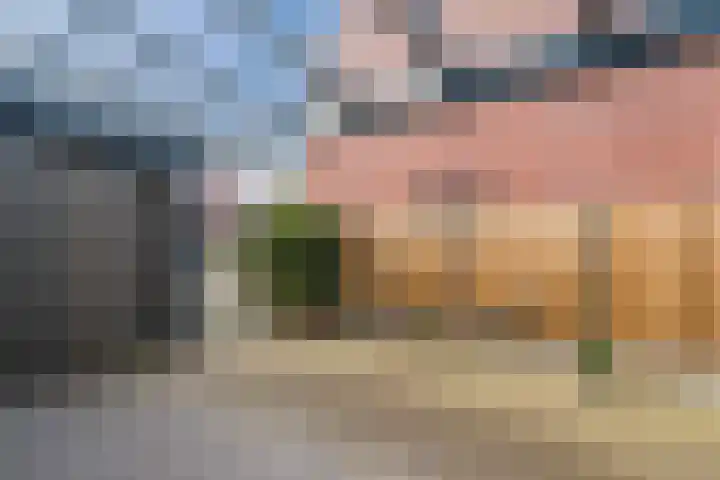 Baljuw 21 Warmenhuizen thumbnail 23