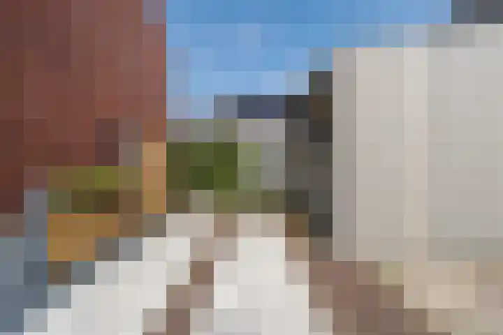 Baljuw 21 Warmenhuizen thumbnail 27