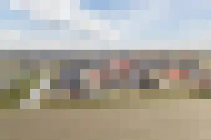 Baljuw 21 Warmenhuizen thumbnail 30