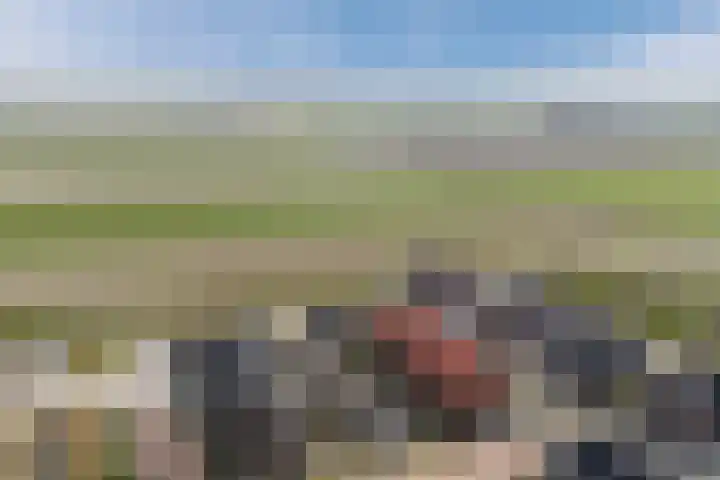Baljuw 21 Warmenhuizen thumbnail 31