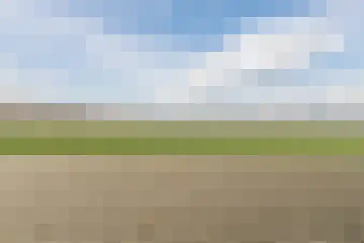 Baljuw 21 Warmenhuizen thumbnail 32