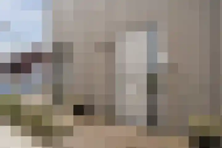 Baljuw 21 Warmenhuizen thumbnail 35