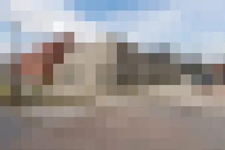 Baljuw 21 Warmenhuizen thumbnail 36