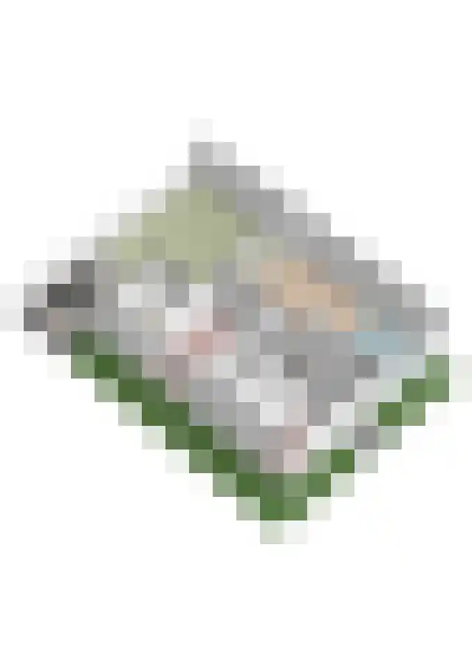 Baljuw 21 Warmenhuizen thumbnail 37