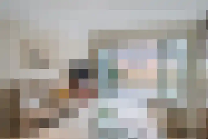 Baljuw 21 Warmenhuizen thumbnail 4