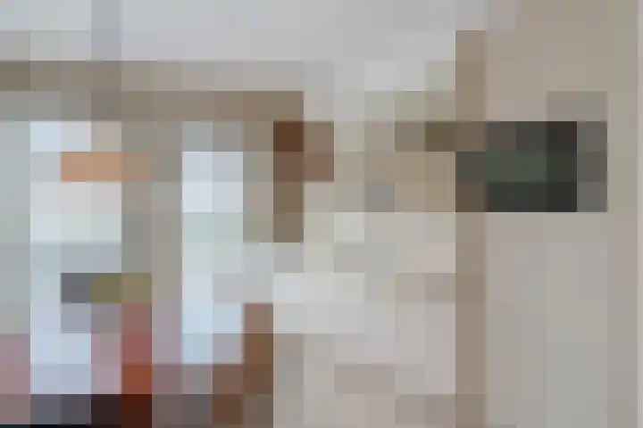 Baljuw 21 Warmenhuizen thumbnail 5