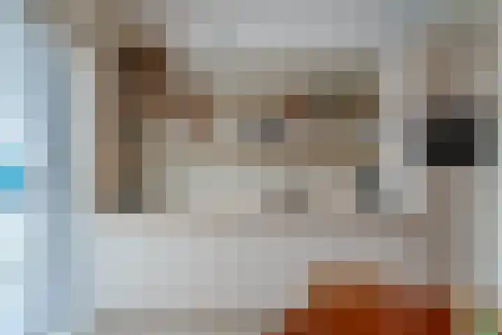Baljuw 21 Warmenhuizen thumbnail 7
