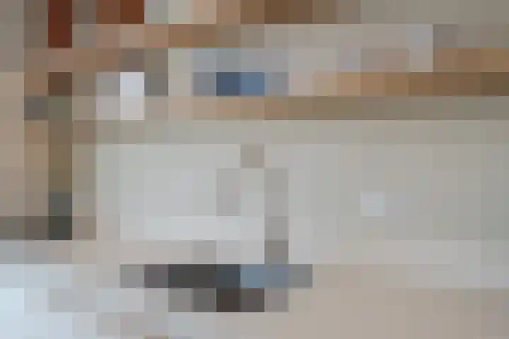 Baljuw 21 Warmenhuizen thumbnail 8