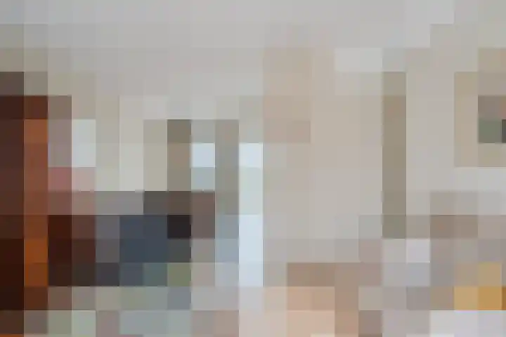Baljuw 21 Warmenhuizen thumbnail 9