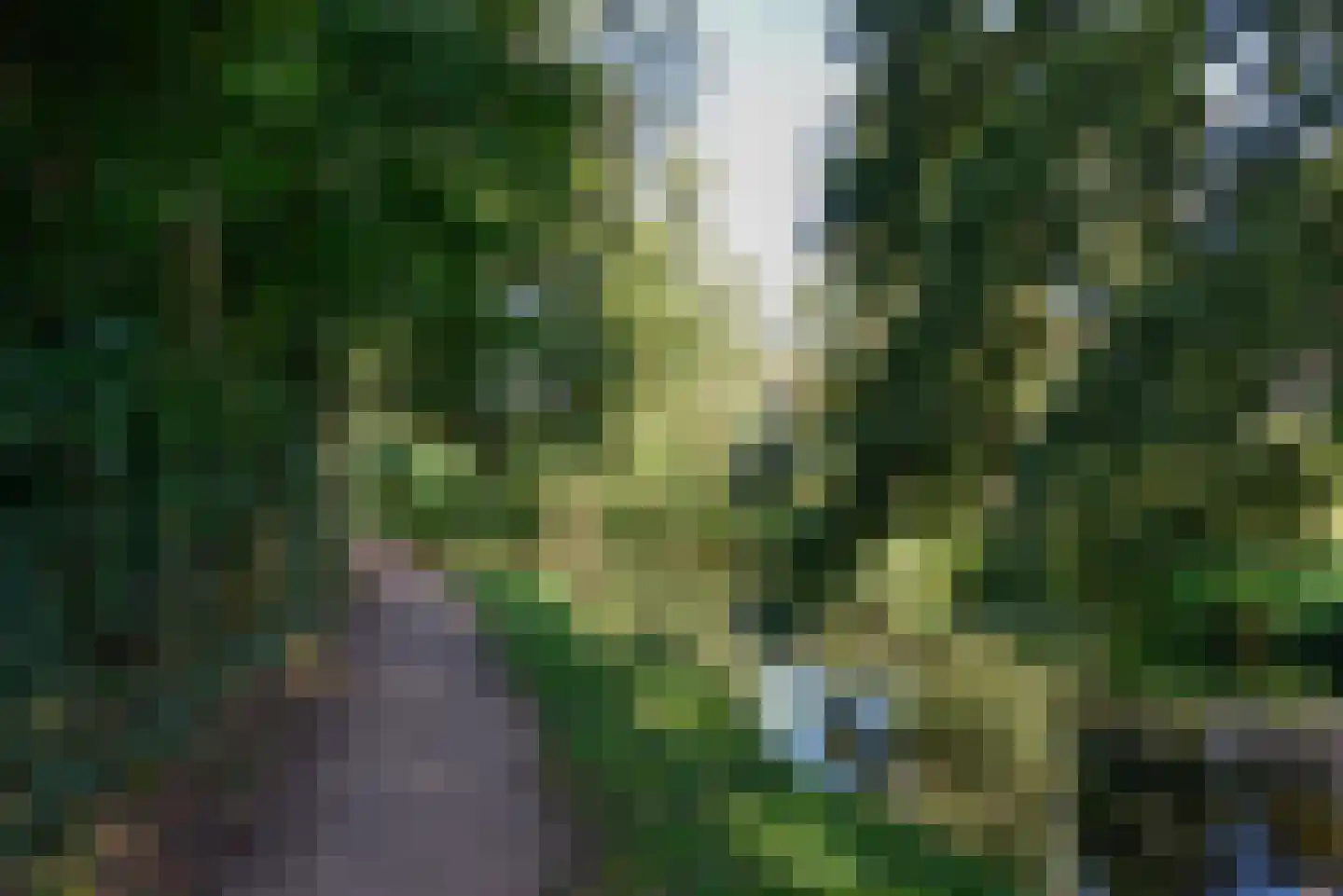 Baljuw 26 Naarden thumbnail 17