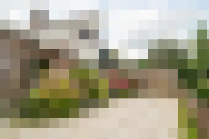 Baljuw 54 Hoorn thumbnail 21
