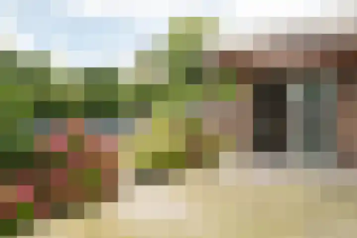 Baljuw 54 Hoorn thumbnail 22