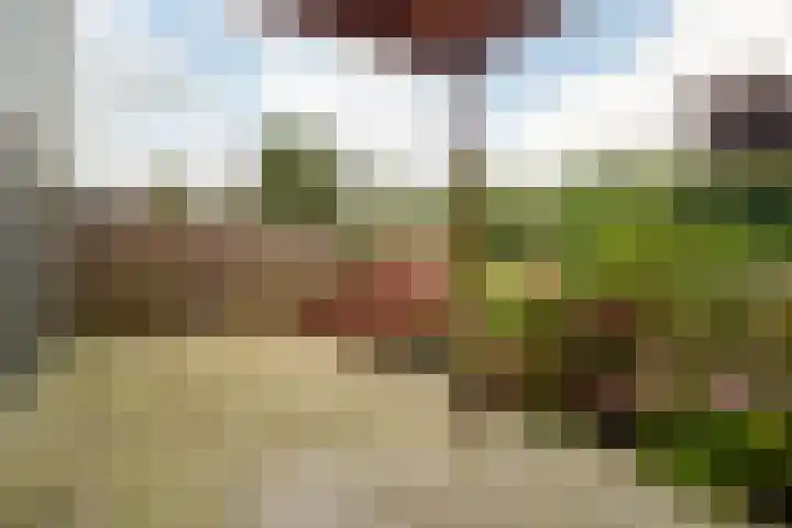 Baljuw 54 Hoorn thumbnail 23