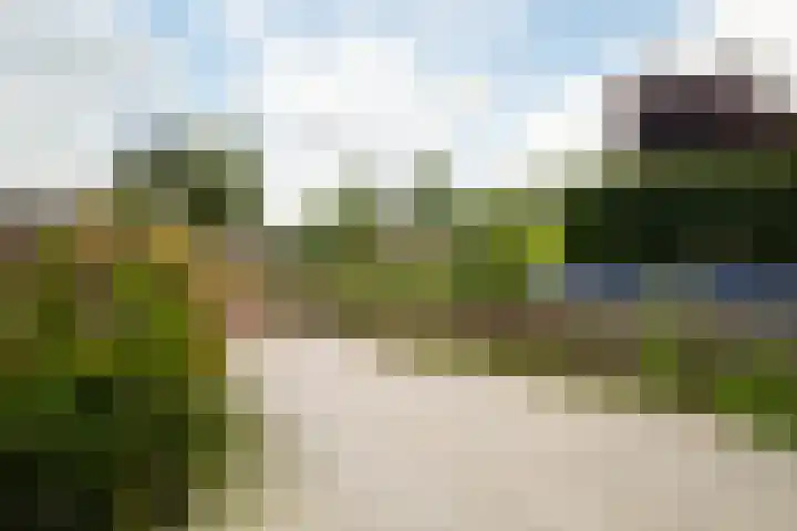 Baljuw 54 Hoorn thumbnail 24