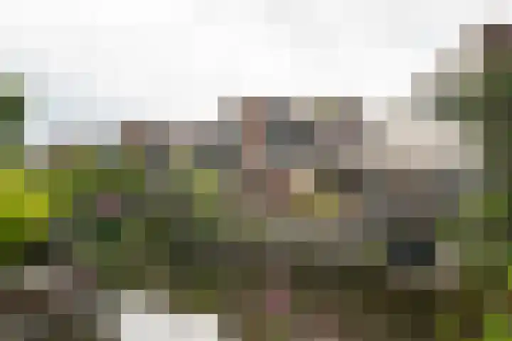 Baljuw 54 Hoorn thumbnail 25
