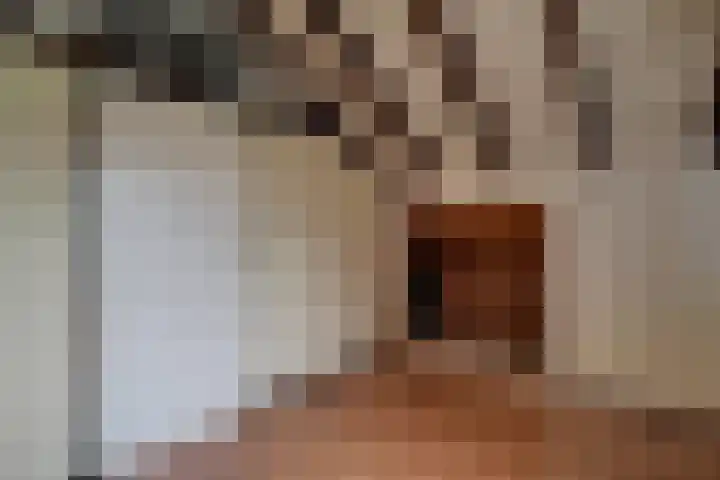 Baljuw 54 Hoorn thumbnail 34