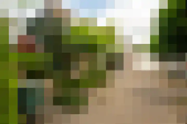 Baljuw 54 Hoorn thumbnail 37