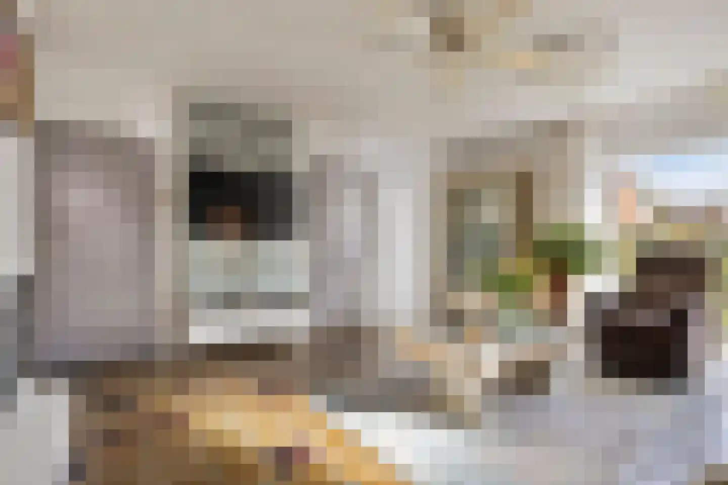 Baljuw 59 Hoorn thumbnail 8