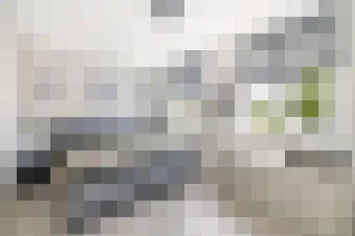 Baljuw 6 Brielle thumbnail 21