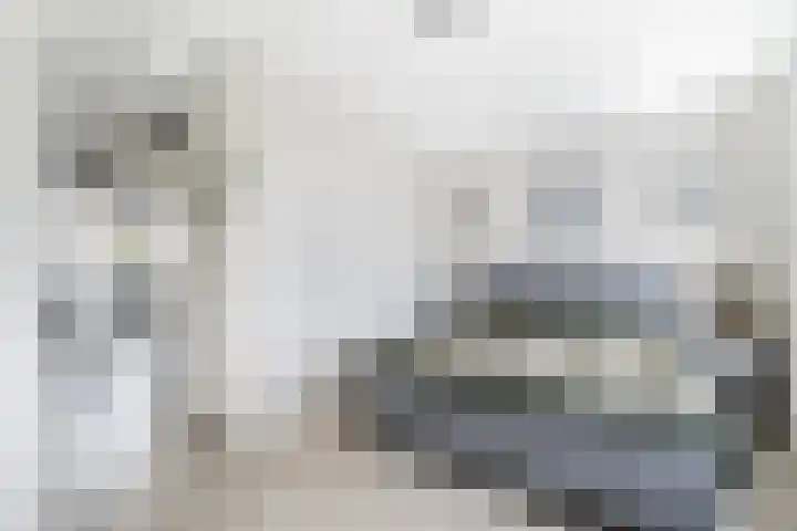 Baljuw 6 Brielle thumbnail 23