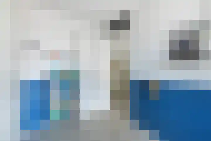Baljuw 6 Brielle thumbnail 27