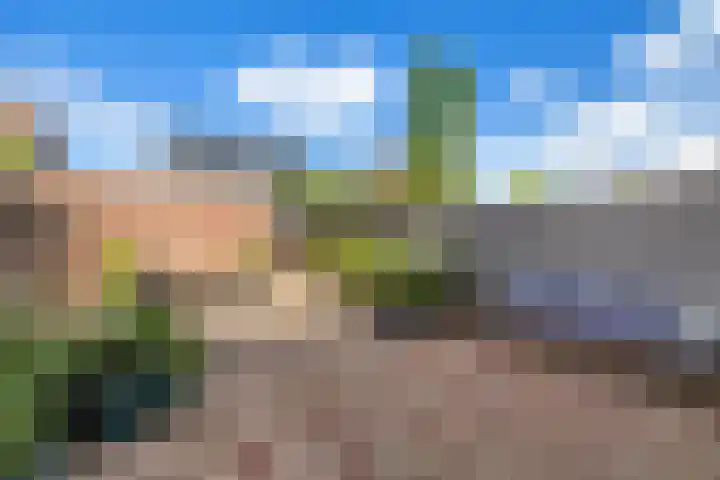 Baljuw 6 Brielle thumbnail 37