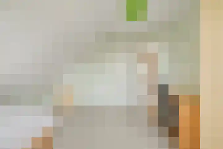 Baljuw 6 Naaldwijk thumbnail 18