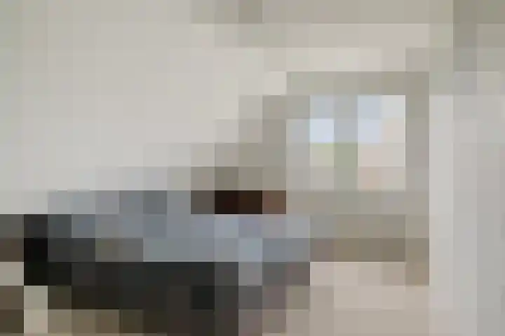 Baljuw 6 Naaldwijk thumbnail 20