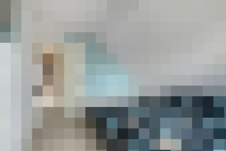 Baljuw 6 Naaldwijk thumbnail 21