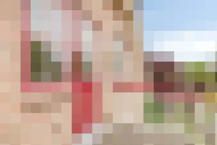 Baljuw 6 Naaldwijk thumbnail 26
