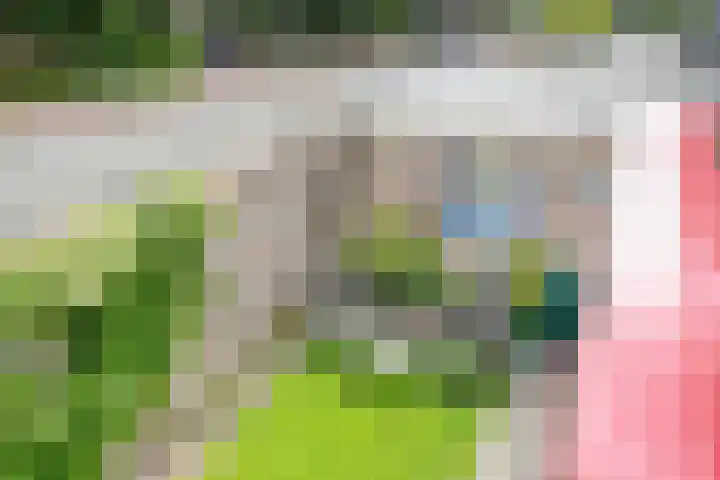 Baljuw 6 Naaldwijk thumbnail 27