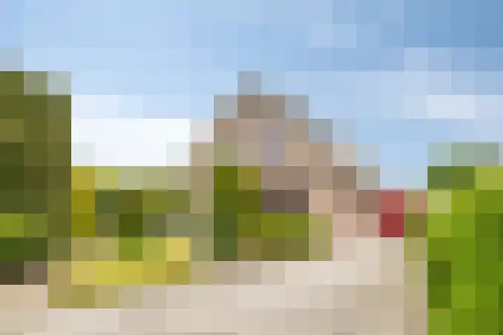 Baljuw 6 Naaldwijk thumbnail 30