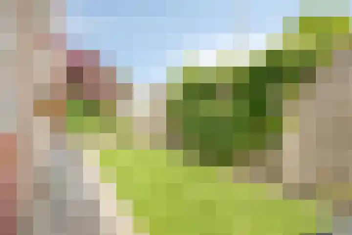 Baljuw 6 Naaldwijk thumbnail 32