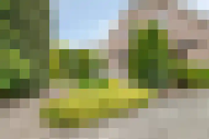 Baljuw 6 Naaldwijk thumbnail 34